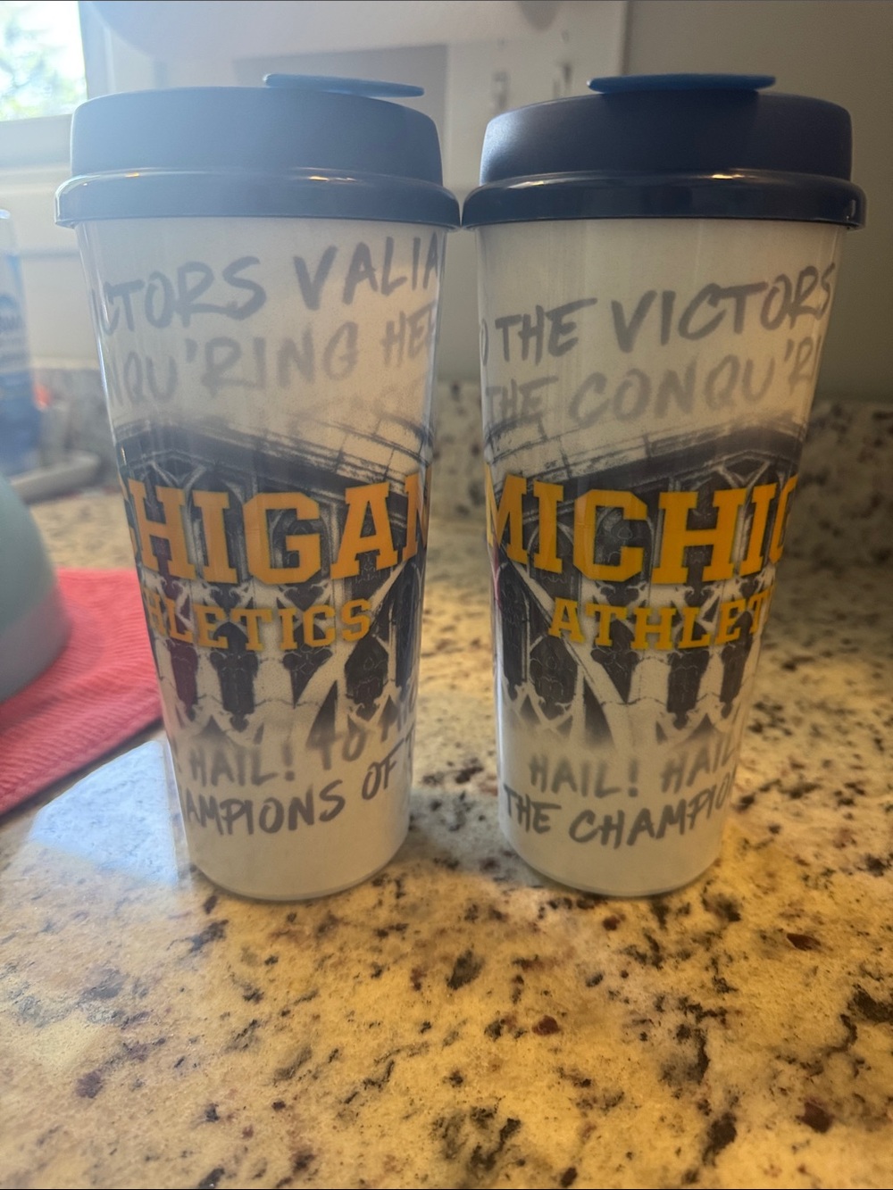 Bundle of 2 MICHIGAN Travel Tumbler